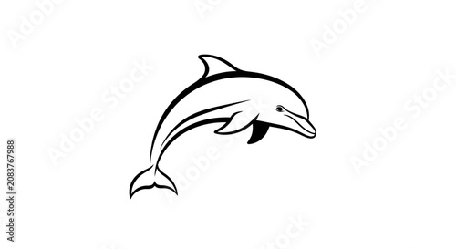 Obraz na plátně Dolphin jumping out water.