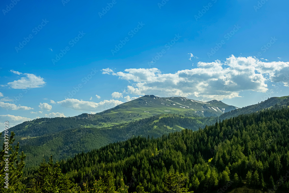 Fototapeta premium Majestic snow capped mountain peak and evergreen forest landscape. A breathtaking panoramic landscape under a clear blue sky. This serene alpine landscape evokes peace and natural beauty.