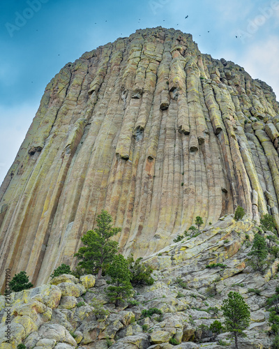 Devils Tower  National Monument in Wyoming, USA, America. Stunning views of this incredible carving in western Wyoming.