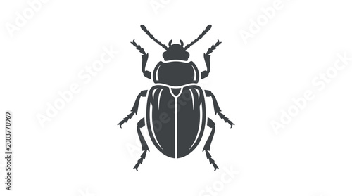 Photos Black Beetle Insect Close Up View.