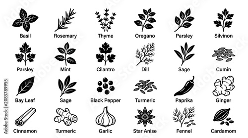 Foto Herbs and Spices Collection: Culinary Ingredients Icons for Cooking and Seasonin