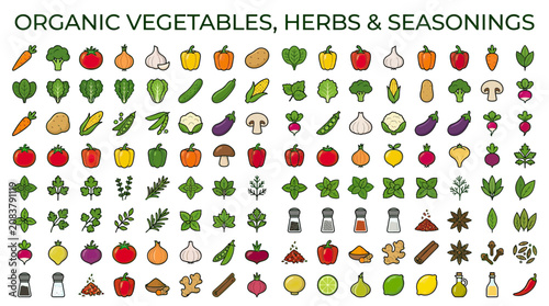 Organic Vegetables, Herbs, and Seasonings Collection - Fresh Food Icons