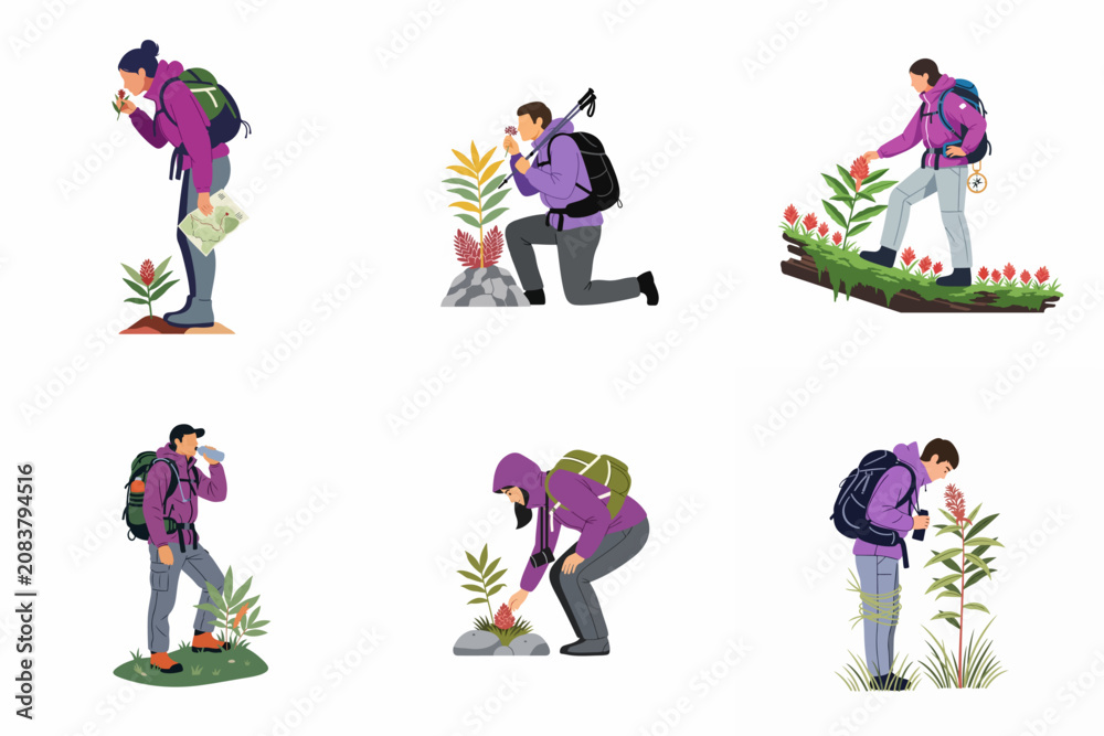 Fototapeta premium Flat Vector Character Set Illustrating People Hiking, Trekking, and Exploring Nature Outdoors with Backpacks and Gear.