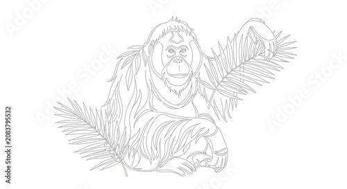Obraz na plátně Orangutan line art illustration, primate surrounded by tropical leaves, simple s