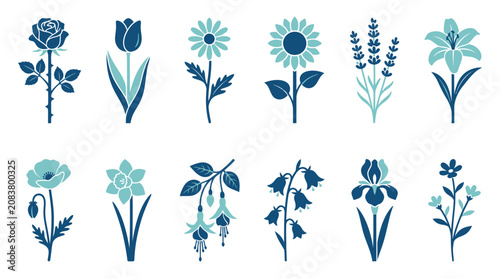 Collection of various blue flowers.