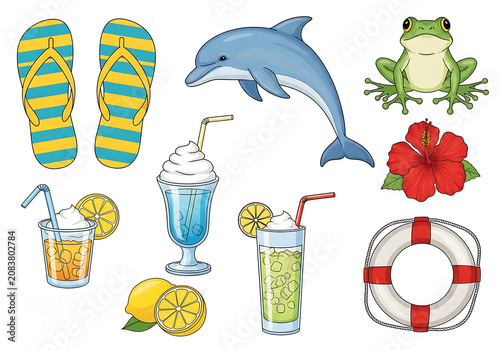 Colorful summer items and sea animals on bright background