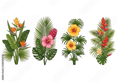 Four colorful tropical flowers with green leaves and buds
