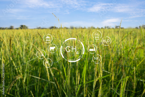 Photos Greenhouse gas emissions graphic with CH4, CO2, and N2O icons over a rural paddy field