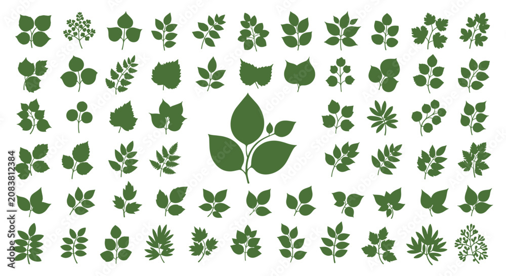 Fototapeta premium Extensive collection of various green leaf silhouettes and shapes representing different plant species for botanical designs.