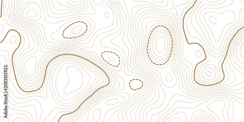 Black and white topographic map background. Topographic map lines. Monochrome topographic terrain lines with space for text. Cartography terrain contour lines backdrop for website, presentations