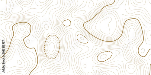 Black and white topographic map background. Topographic map lines. Monochrome topographic terrain lines with space for text. Cartography terrain contour lines backdrop for website, presentations