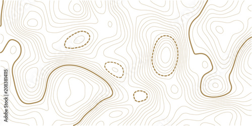Black and white topographic map background. Topographic map lines. Monochrome topographic terrain lines with space for text. Cartography terrain contour lines backdrop for website, presentations