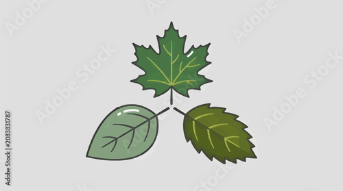 Flat Vector Illustration of Three Diverse Green Leaves, Maple-like and Oval Shapes, Arranged in a Cluster on a Light Gray Background, Simple Graphic Design