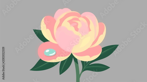 Stylized Flat Vector Peony Flower with Single Dewdrop on Petal, Soft Pink and Yellow Hues, Dark Green Leaves, Isolated on Grey Background, Minimalist Graphic Design