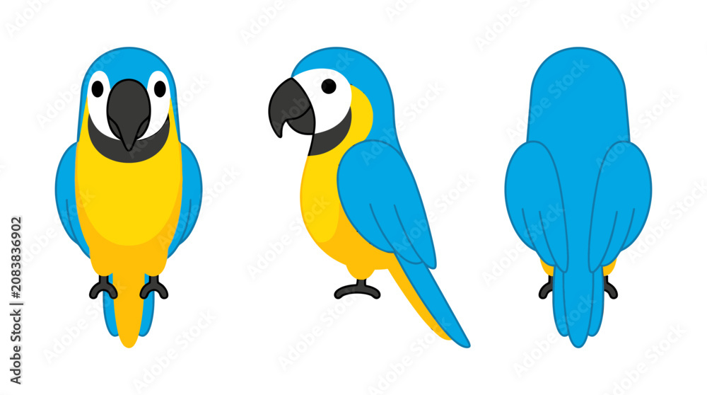 Fototapeta premium Vector illustration of a cute blue and yellow macaw parrot shown from front, side, and back views isolated on white background