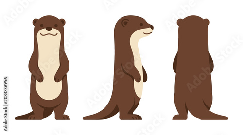 Cute cartoon otter character sheet vector illustration featuring front side and back view angles isolated on white
