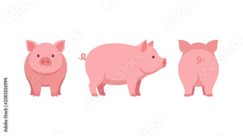 Three cute pink pigs showing front side and back views isolated on white background flat vector illustration farm animal set