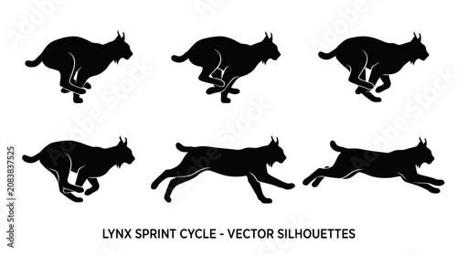 Set of black lynx running silhouettes showing the full sprint motion cycle for wildlife animation and vector graphic design