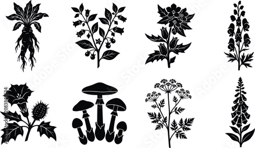 Black silhouette collection of poisonous plants toxic herbs mandrake root and dangerous wild mushrooms isolated on white