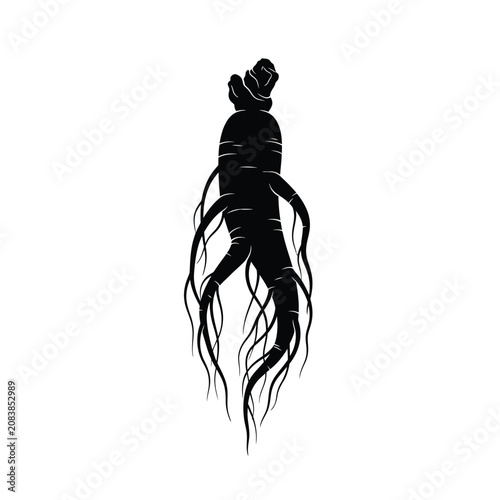 Photos Black silhouette of a squid.