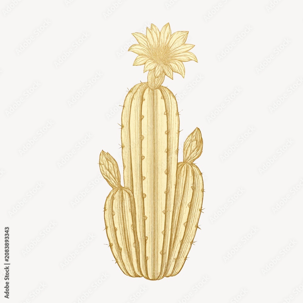 Fototapeta premium Golden cactus illustration with flower