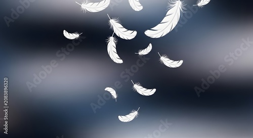 Graceful white feathers drifting through the air against a moody dark blue backdrop.