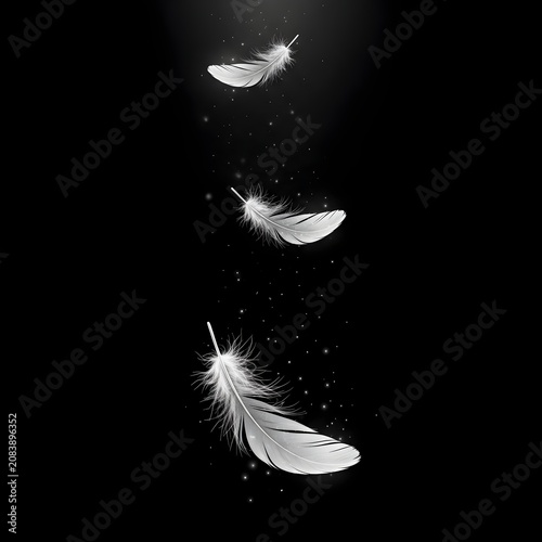 Three elegant white feathers falling gracefully through magical sparkles on a deep black background.