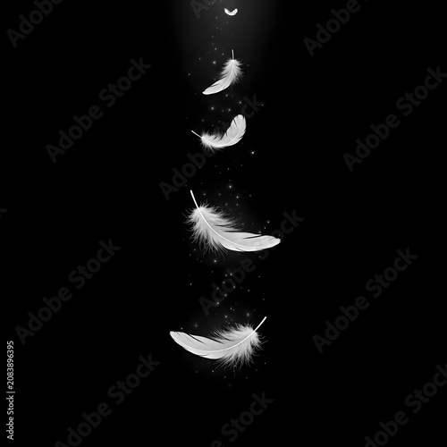 Ethereal white feathers floating down with magical sparkles against a solid black background