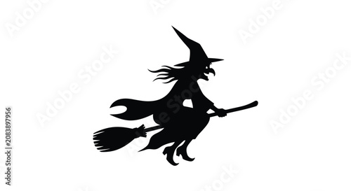 Fotografie Silhouette of a witch flying on a broomstick with pointed hat and flowing cloak