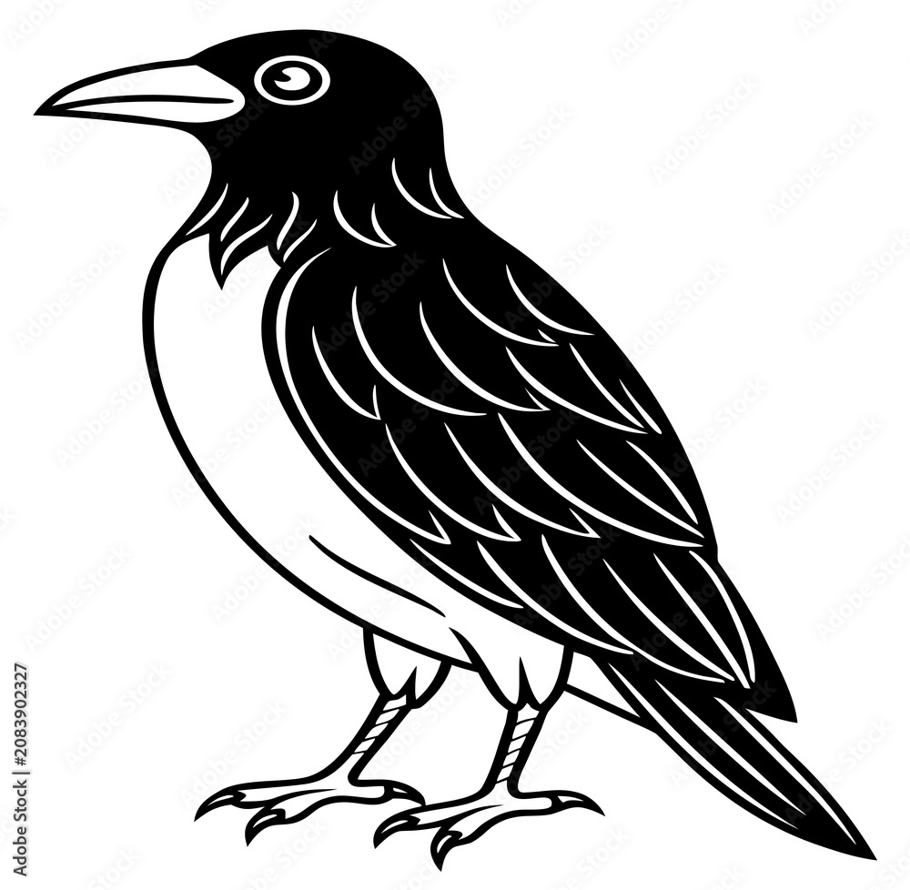 Fototapeta premium crow on a branch