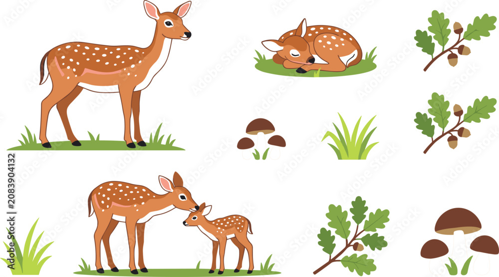 Fototapeta premium Cute Forest Deer and Spotted Fawn Vector Illustration Set with Oak Leaves Acorns Mushrooms and Green Grass for Autumn Woods Wildlife Graphic Designs