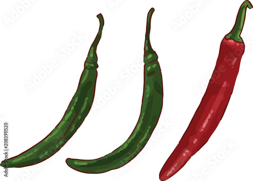Photos Vector illustration of fresh long chili peppers, featuring two slender green chi
