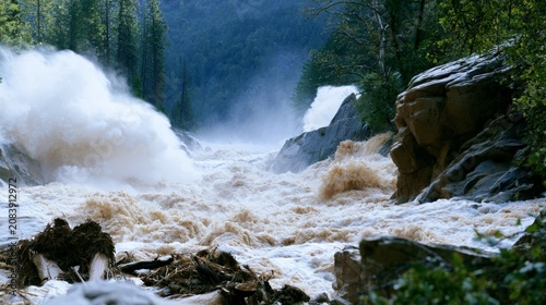 Powerful Flood Waters Rise in Forested Area Under Extreme Weather Conditions