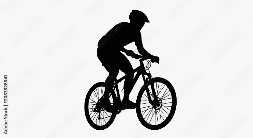 Obraz premium Silhouetted Cyclist Riding Mountain Path.