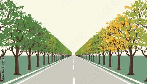 Obraz na płótnie A long, straight road lined with green trees on one side and a mix of green and yellow autumn trees on the other, creating a strong sense of perspective and seasonal contrast
