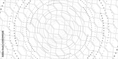 hexagon pattern. Seamless background. Abstract honeycomb background in grey color. Eps10
