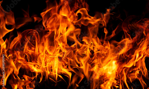 Canvastavla Flame across burning fire