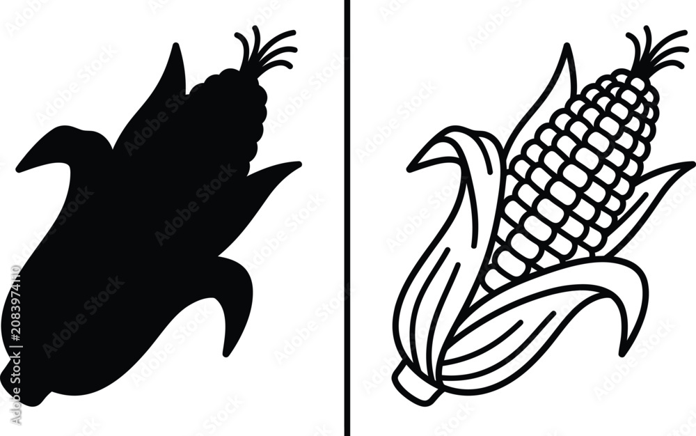 Obraz premium Corn Cob and Silhouette Set with Natural Agriculture Food Product or Sweetcorn Isolated Outline