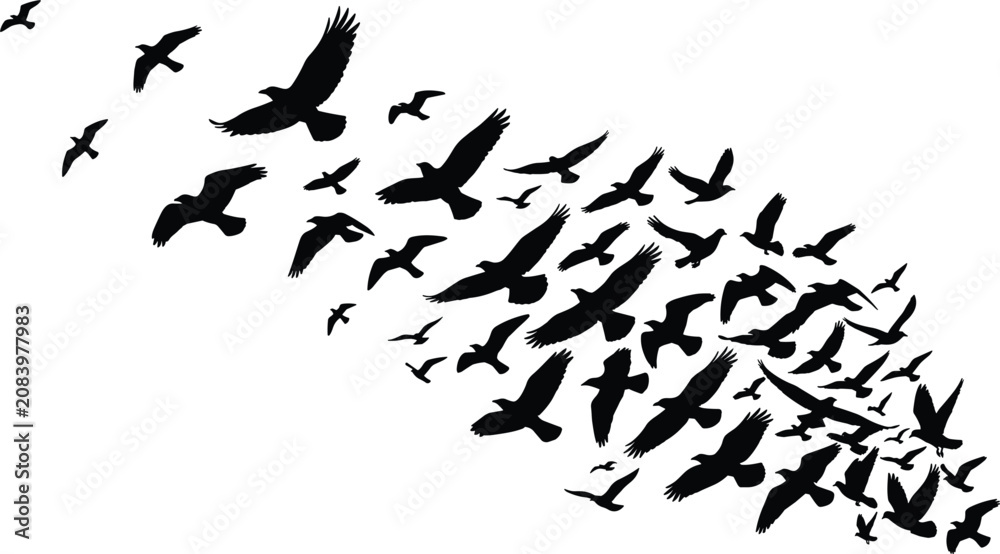 Obraz premium Flock of birds flying silhouette vector illustration shaped like a feather isolated on a white background