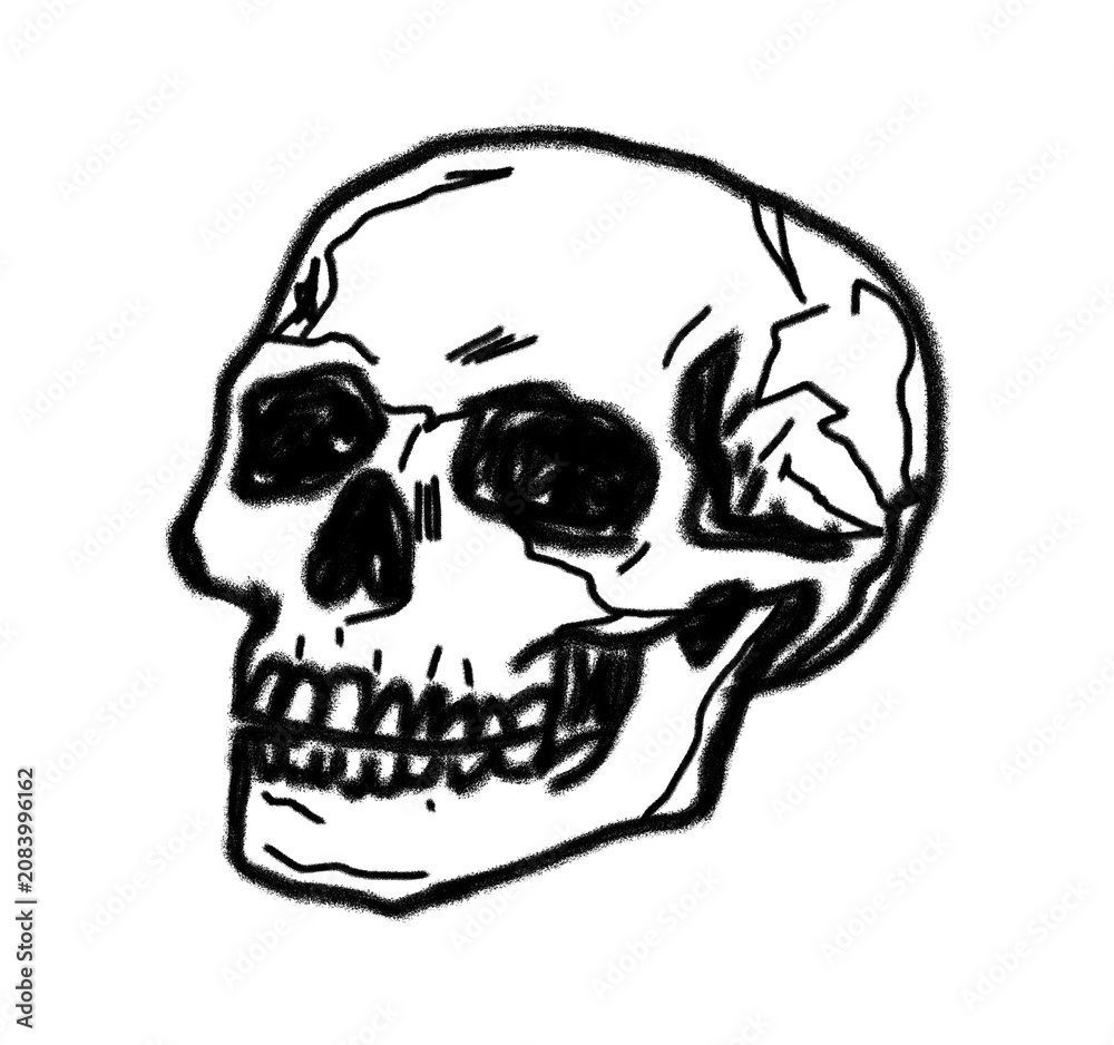 Obraz premium Hand Drawn Black and White Human Skull Illustration