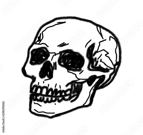 Hand Drawn Black and White Human Skull Illustration