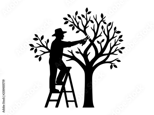 Silhouette of a Gardener Pruning a Tree on a Ladder
