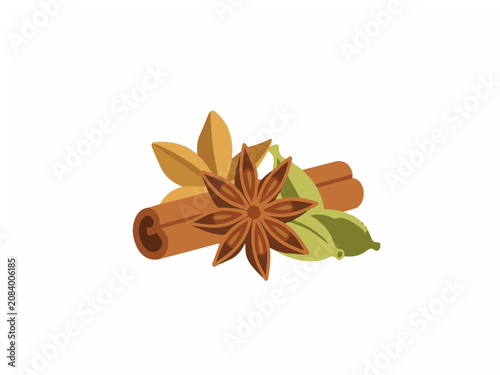 Aromatic Spices Collection with Cinnamon Stick Star Anise and Cardamom Pods Isolated on White Background