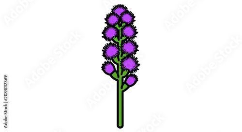Photography Purple liatris blazing star flower stalk icon