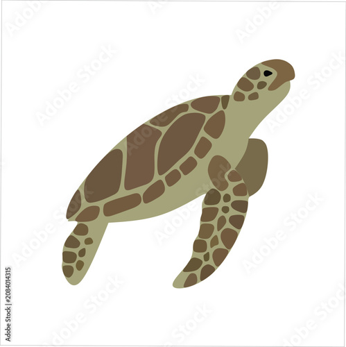 Sea Turtle Swimming Flat Vector Illustration Swimming Marine Wildlife Character