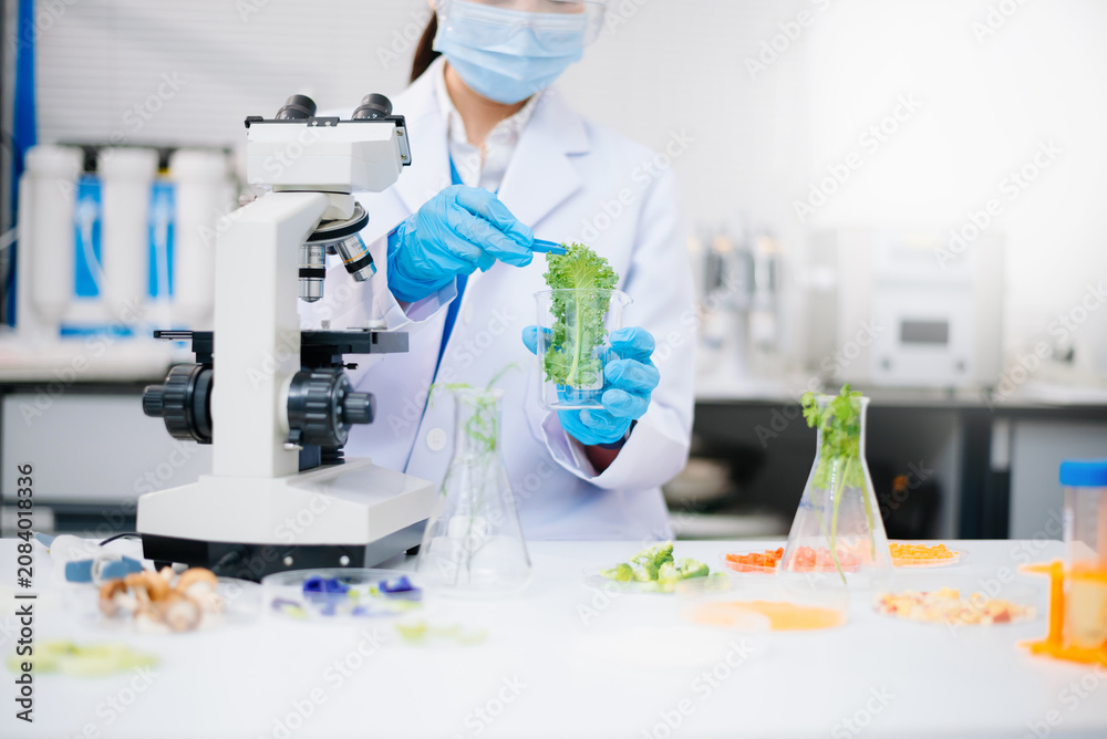 Fototapeta premium Team Scientist testing food samples in lab with microscope, vegetables, and meat for safety, nutrition, and biotechnology