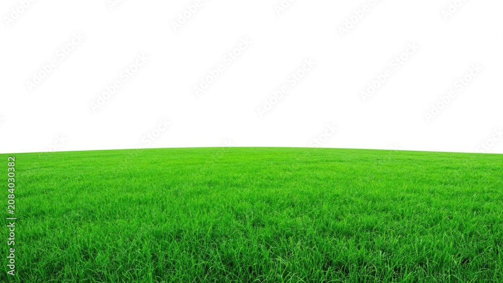 Obraz premium Vast Green Expanse: An endless, vibrant green grass field stretches under a clean white sky, offering a pristine and expansive natural backdrop.