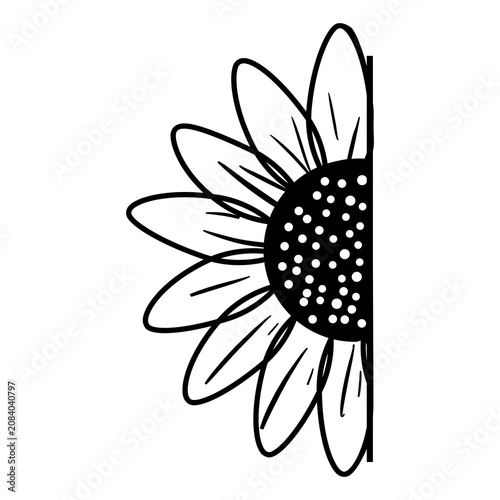Horizontal Split Sunflower Frame SVG