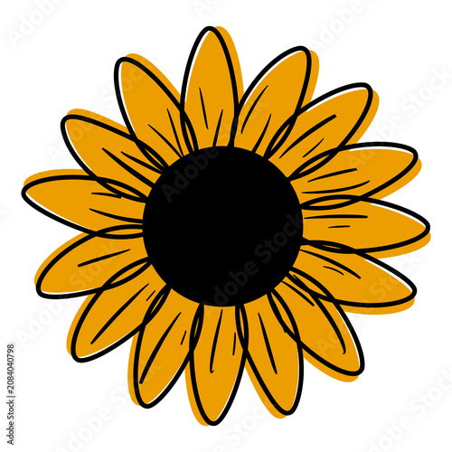 Hand Drawn Sunflower Illustration