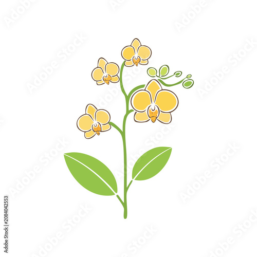 Yellow Orchid Flower Flat Vector Illustration
